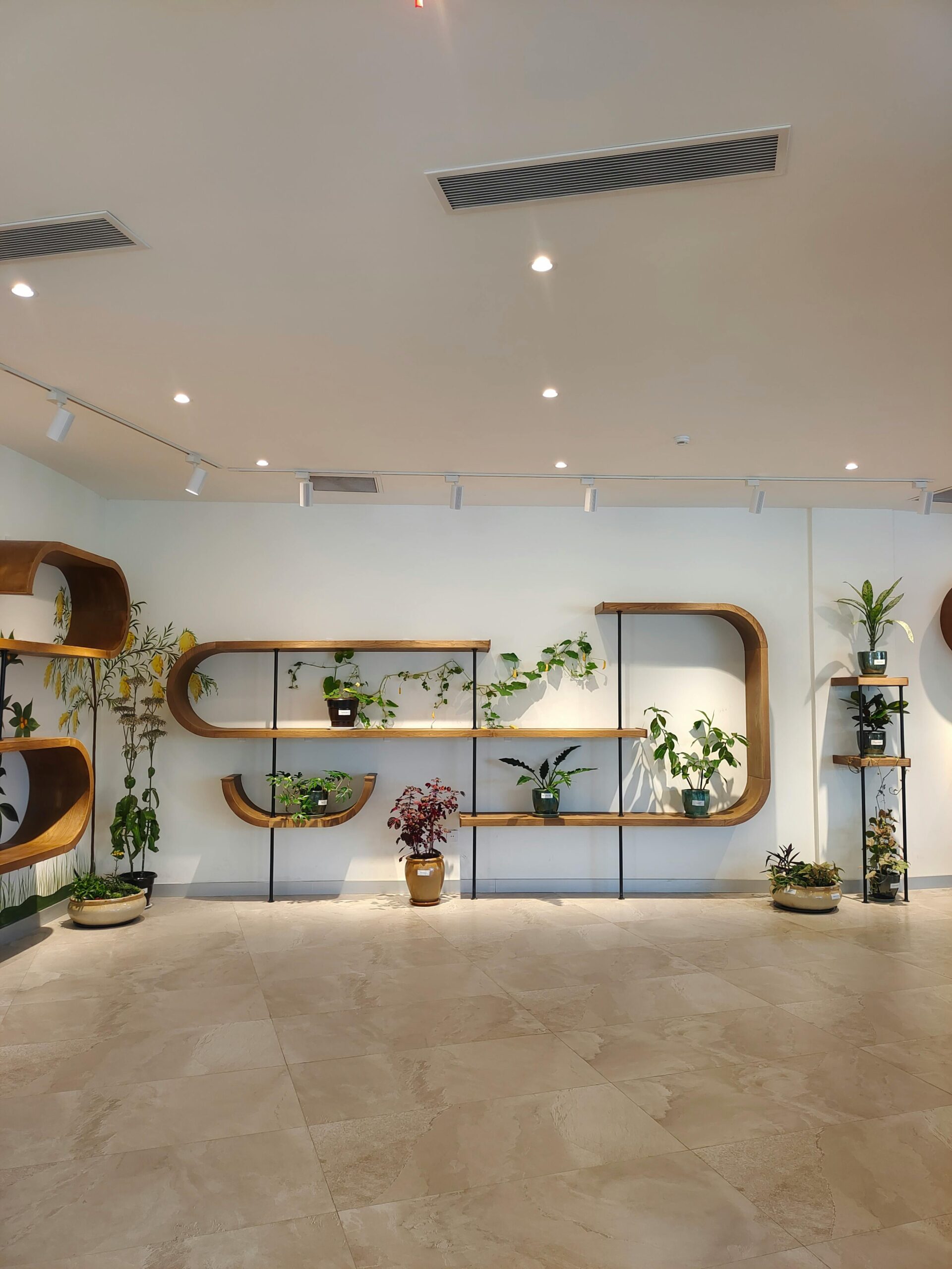 pexels-maya-ali-1763363404-35987814